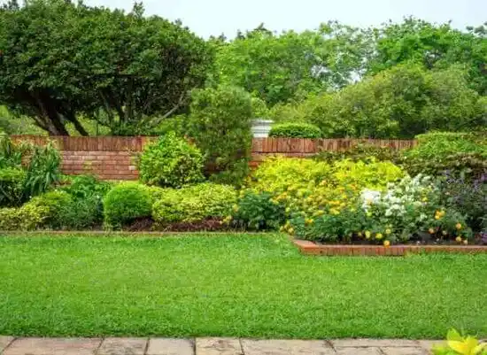 landscaping services Hallsville